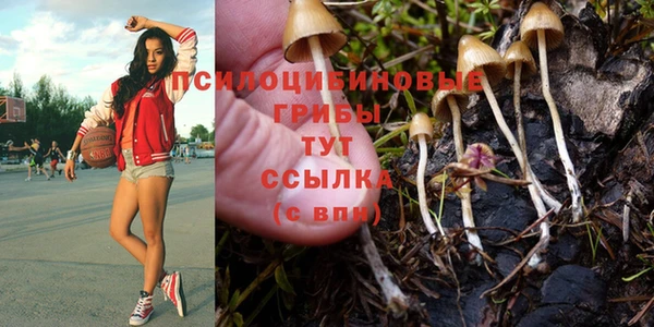 меф Ладушкин
