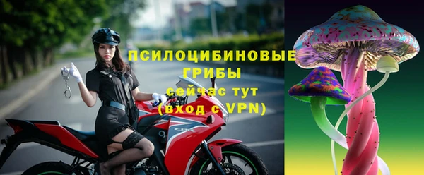 меф Ладушкин