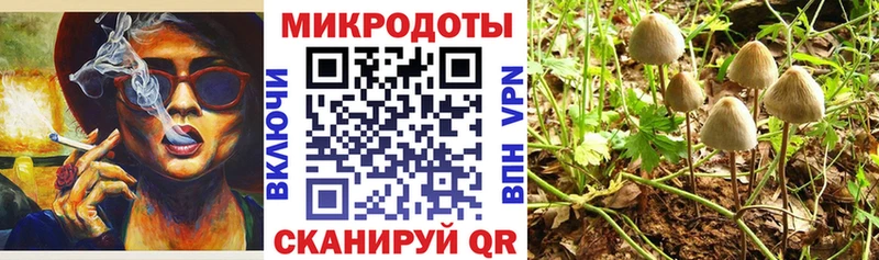 где купить наркоту  Нефтеюганск  Псилоцибиновые грибы мицелий 